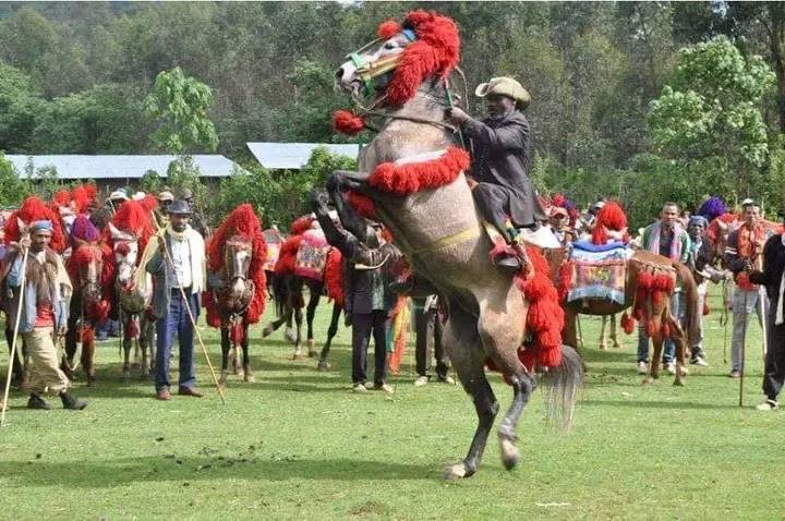 Horse riding